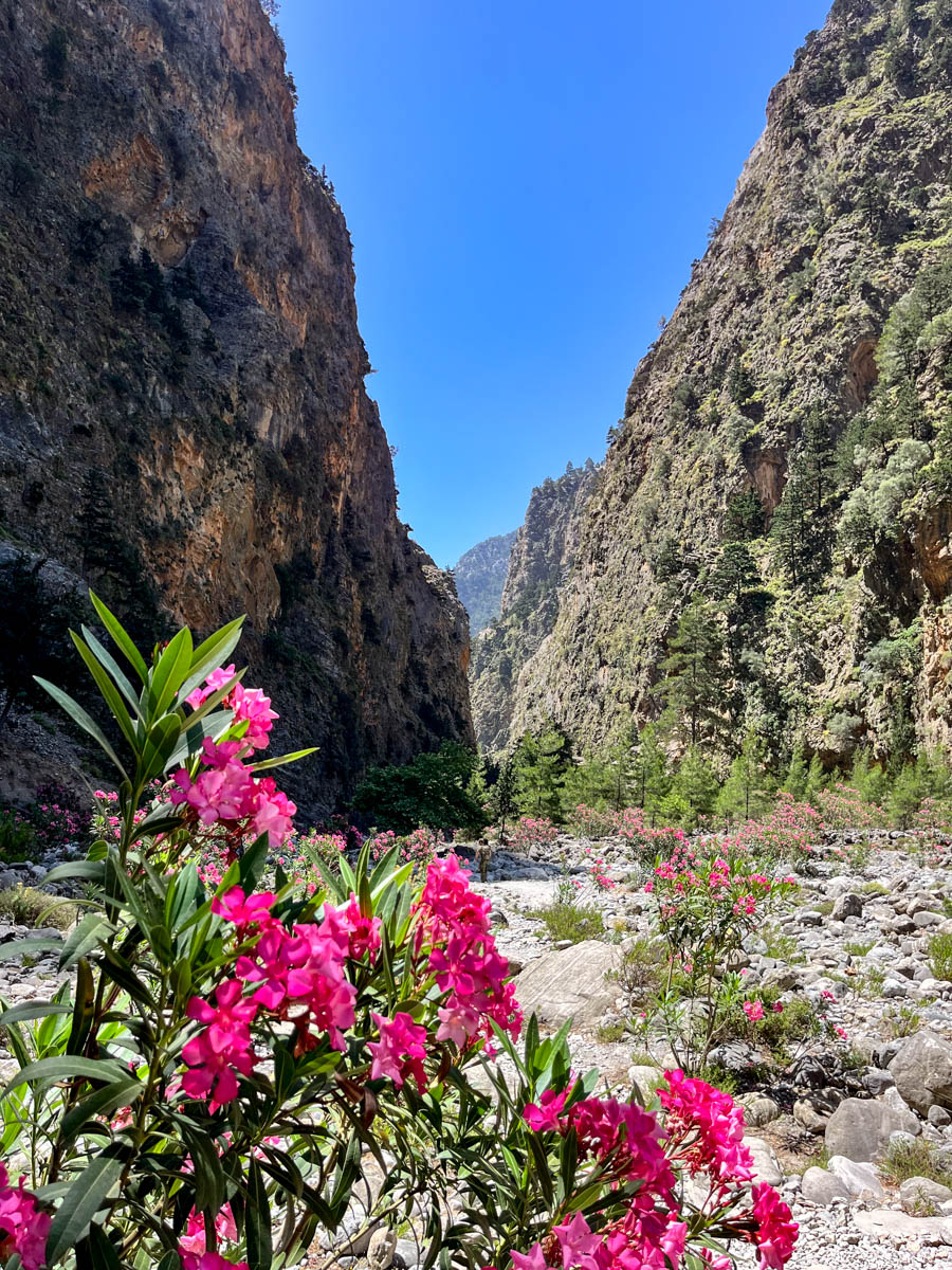 Crete Itinerary: Family adventure and fun on the largest island in ...